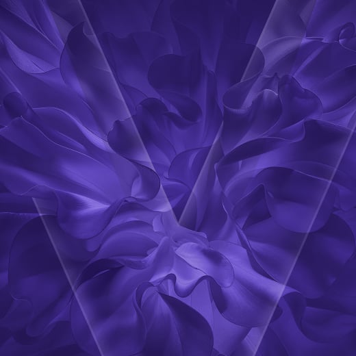 VEEV NOW ULTRA ljubičasti V VEEV logotip i pozadina.